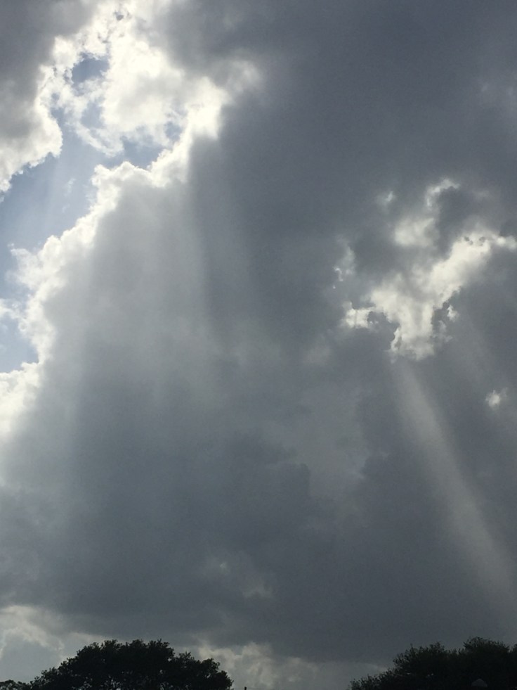 "And we know that all things work together for good for those who love the Lord and are called according to his purpose." Romans 8:28