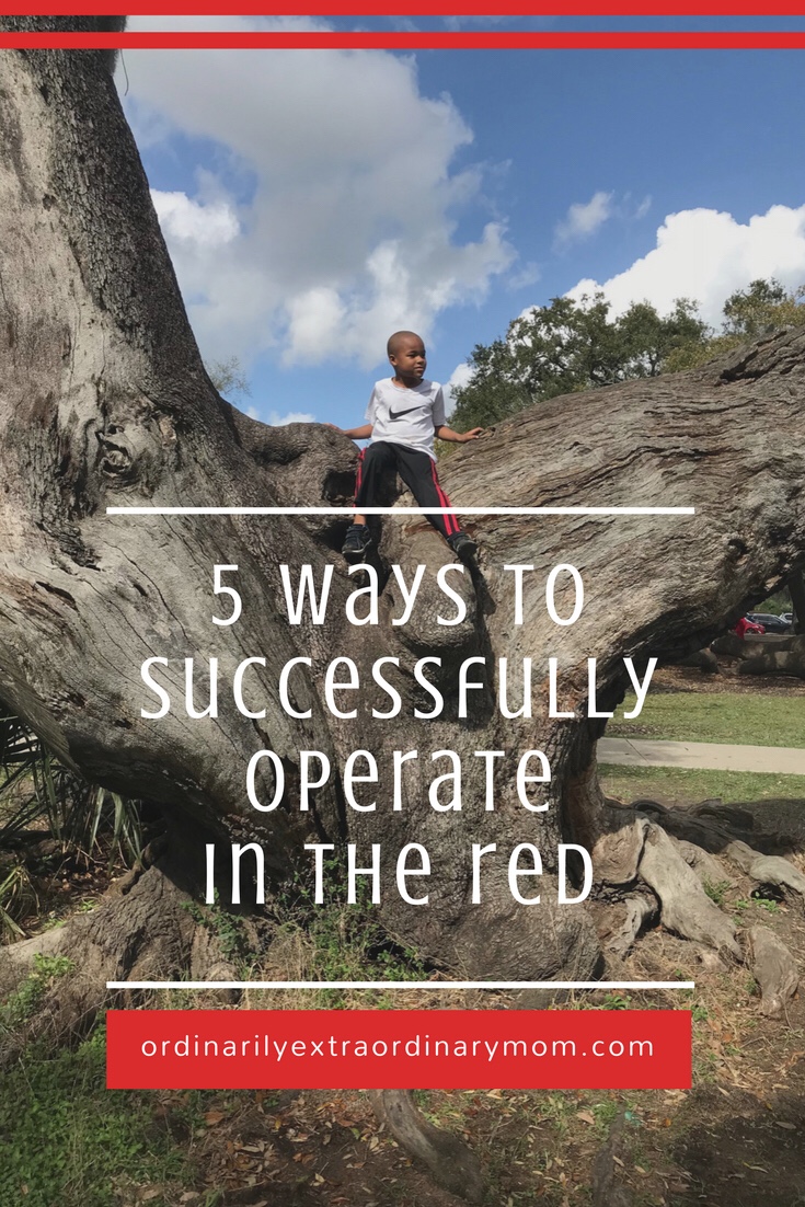 Someone is operating in the red at work.  Someone is operating in the red in their marriage.  Someone is operating in the red with their budget, or their children, or their health, or their home.  Someone is looking around and all they see is red. 