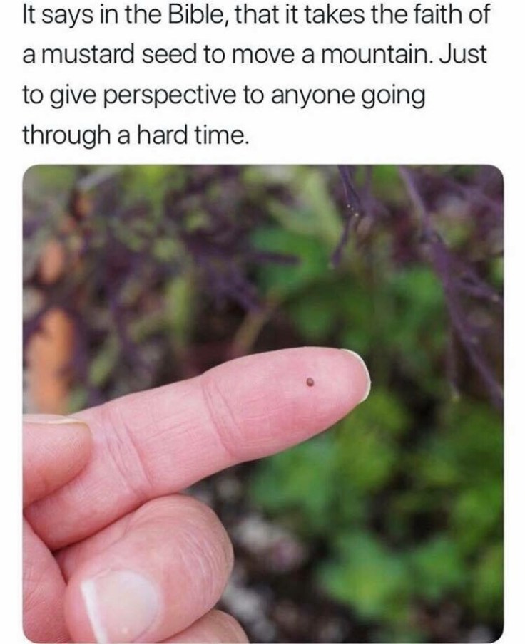 Faith the size of a mustard seed