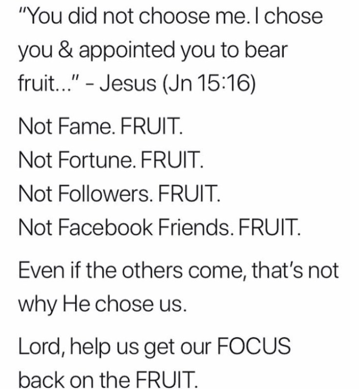 "You did not choose me. I chose you and appointed you to bear fruit." #bouncingback #expectations #fruit #focus #bibleverse